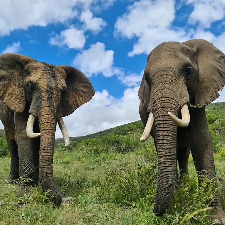 Indalu Game Reserve Boggomsbaai Екстер'єр фото