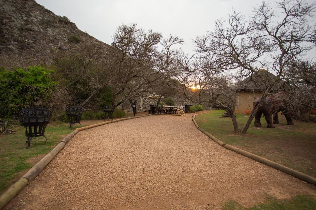 Indalu Game Reserve Boggomsbaai Екстер'єр фото